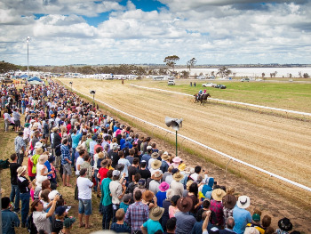 Crowd at race